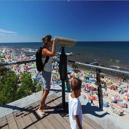 In Near The ساربينوفو